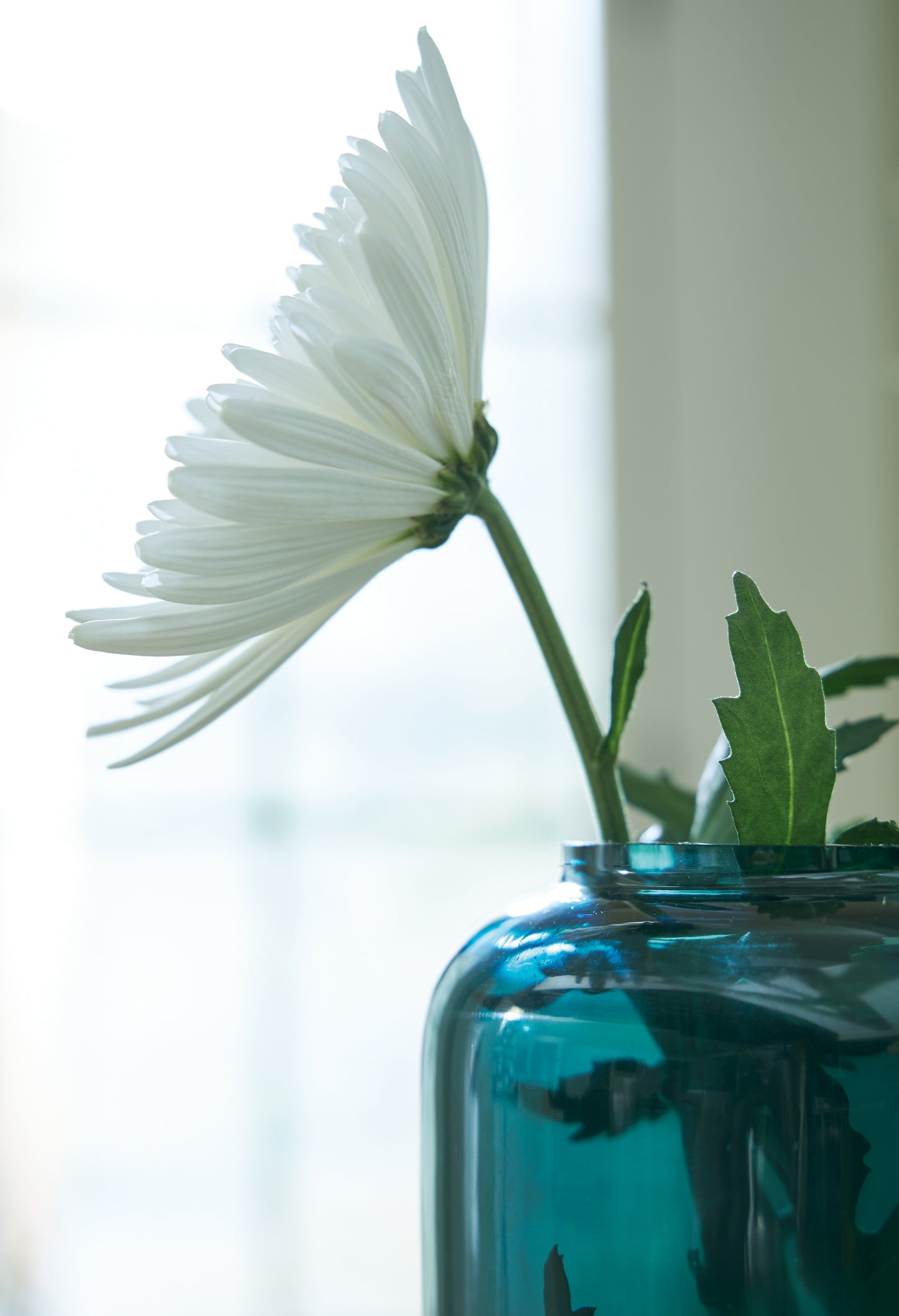 Inisland Vase