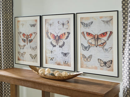 Stuart Furniture Outlet - Ashley Furniture - Jossletts Wall Decor - Wall Art Set (3/CN) / Orange/Black/Ivory - A8000490