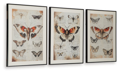Jossletts Wall Decor