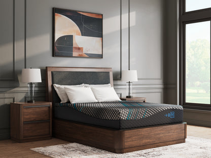 Stuart Furniture Outlet - Ashley Furniture - Millennium 2.0 Foam 12 Inch Mattresses - California King / Black - M31151