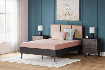 Stuart Furniture Outlet - Ashley Furniture - iKidz Coral Mattresses - Full and Pillow 2/CN / Coral - M43121