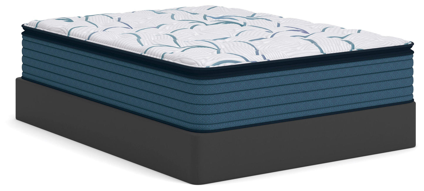Limited Edition Plush PT 3.0 Mattresses