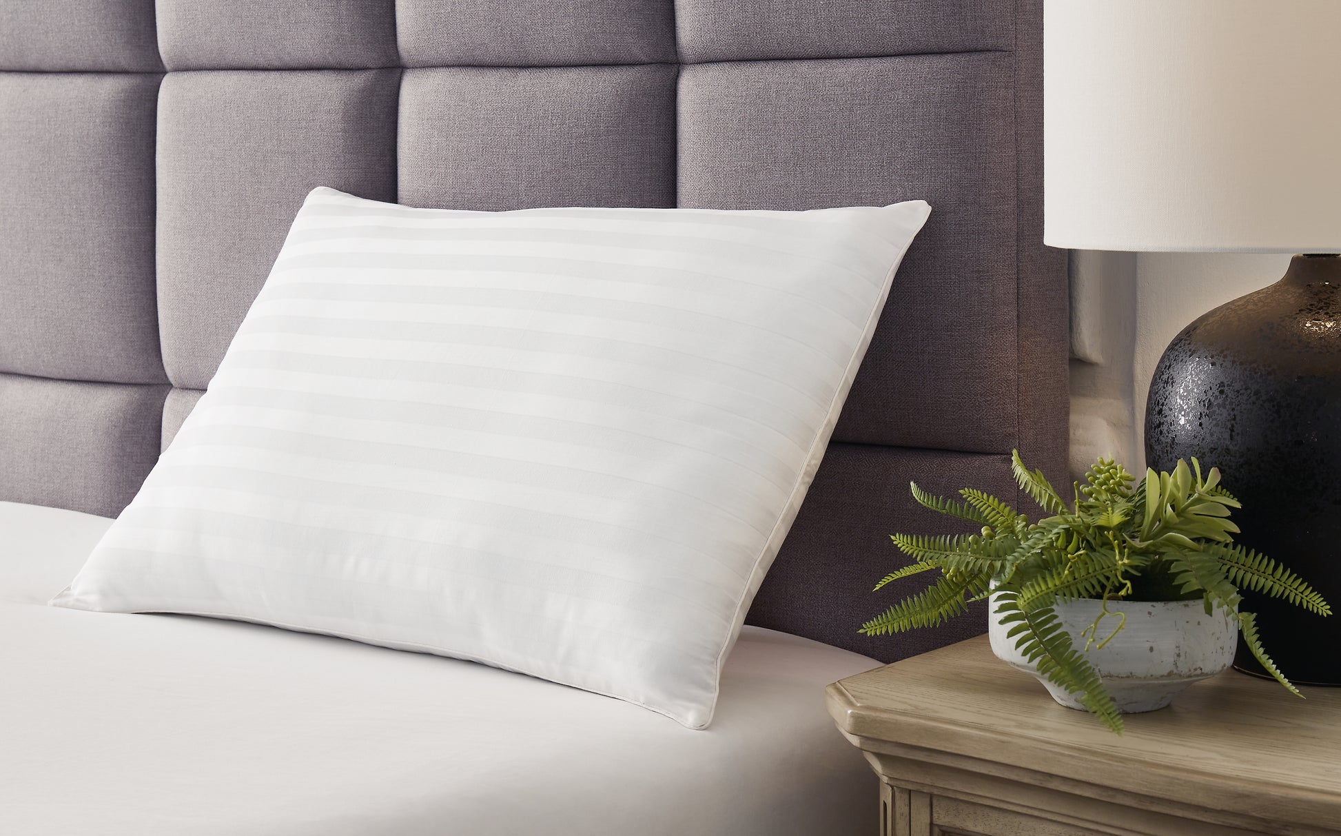 Stuart Furniture Outlet - Ashley Furniture - Zephyr 2.0 Pillows - Graphene Contour Pillow (6/CS) / Dark Gray - M52113