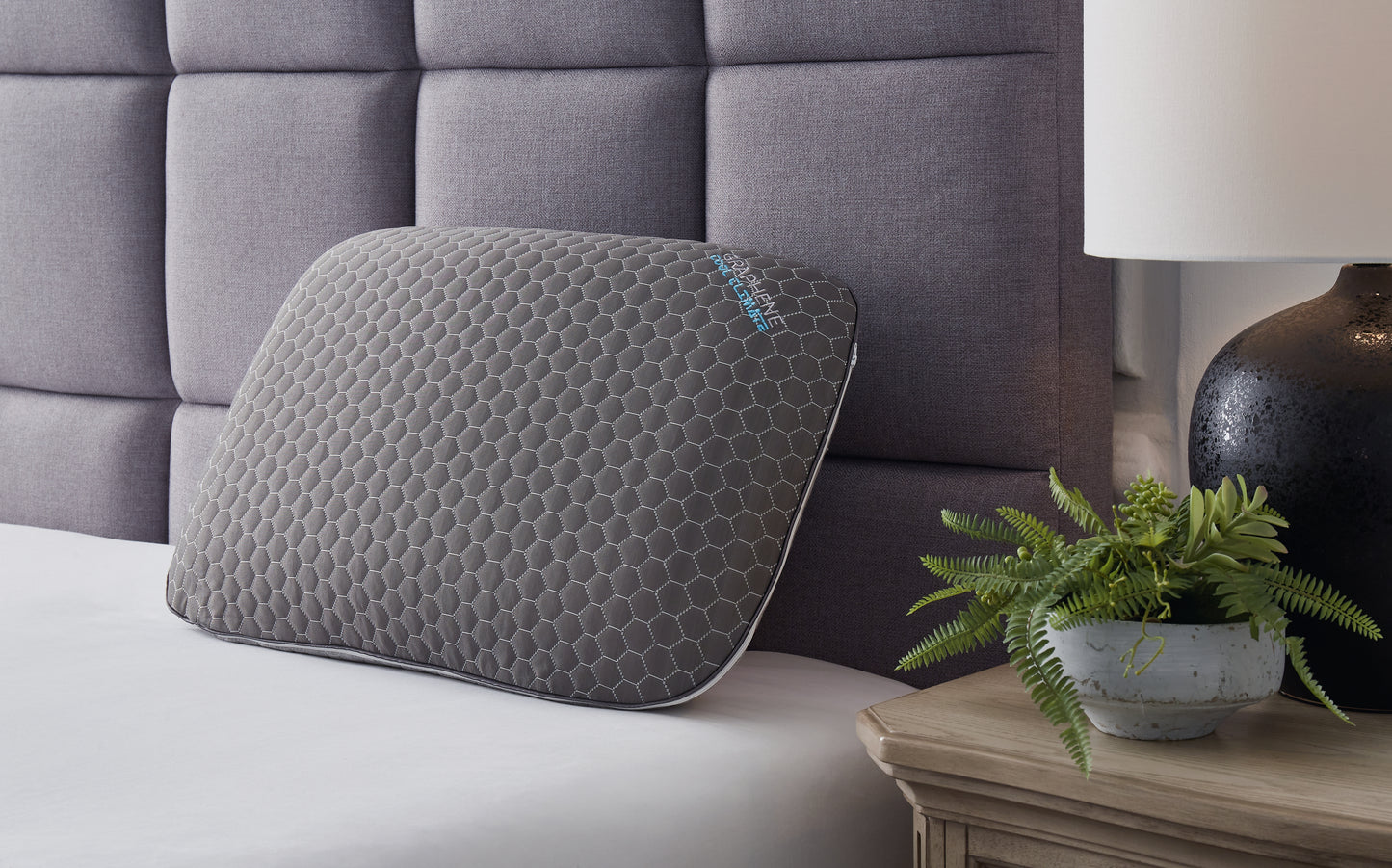 Stuart Furniture Outlet - Ashley Furniture - Zephyr 2.0 Pillows - Graphene Contour Pillow (6/CS) / Dark Gray - M52113
