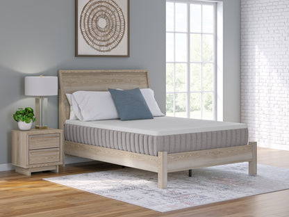 Stuart Furniture Outlet - Ashley Furniture - Terra Sleep Firm Mattresses - California King / White - M52251