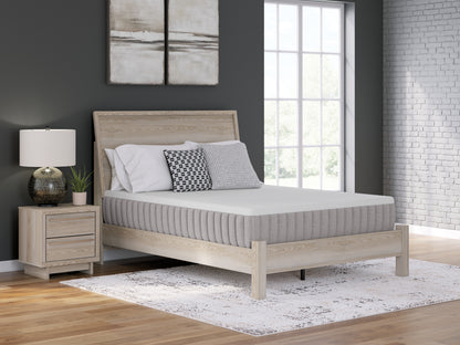 Stuart Furniture Outlet - Ashley Furniture - Terra Sleep Medium Mattresses - California King / White - M52351
