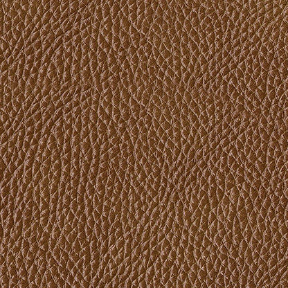 Temmpton Living Room